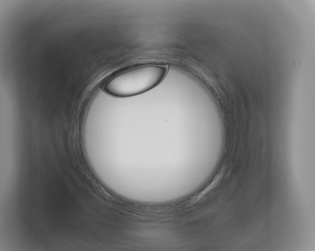 X0000112531453200908171135