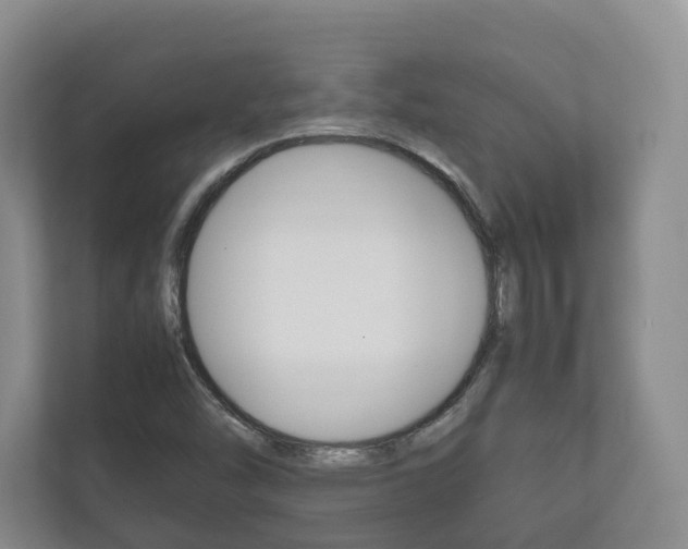X0000112531454200908171135