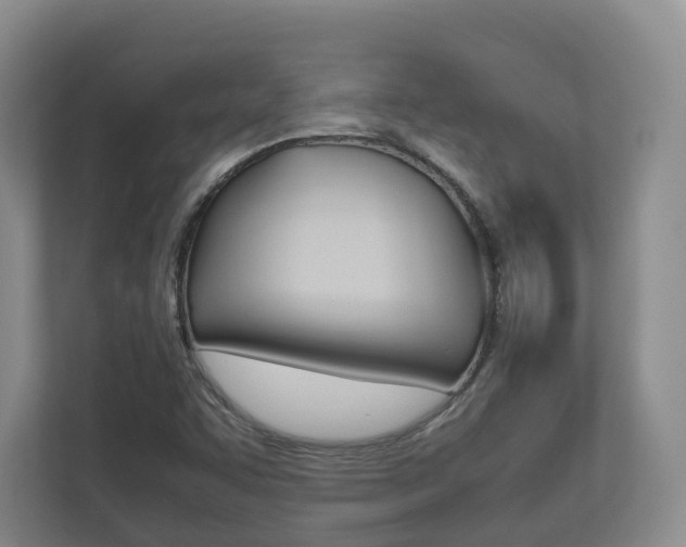 X0000112531455200908171135