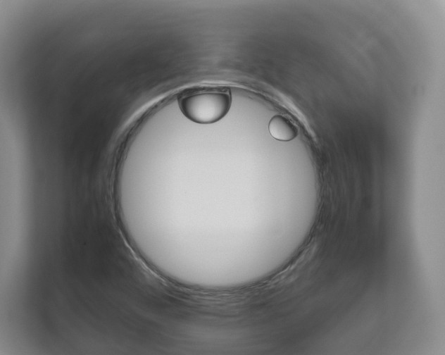 X0000112531456200908171135