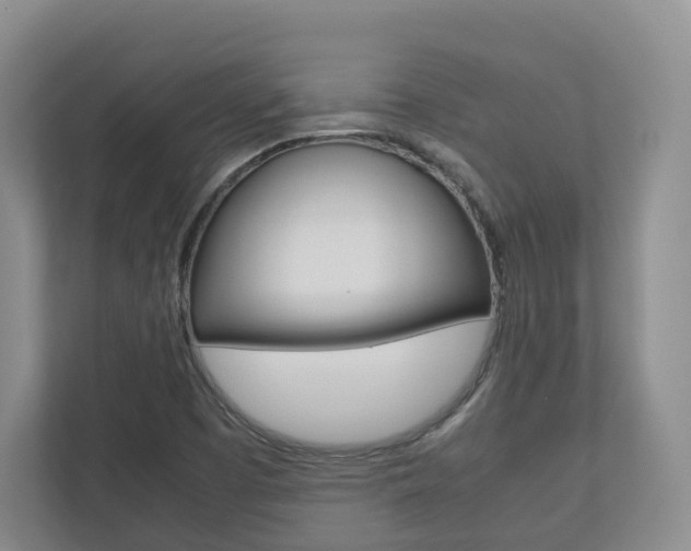 X0000112531457200908171135