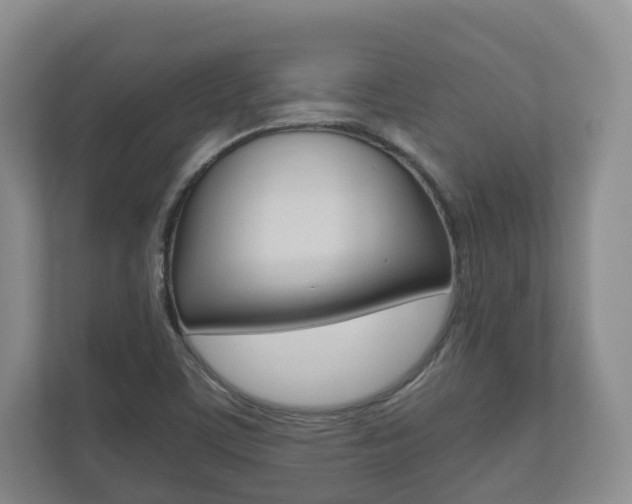 X0000112531459200908171135