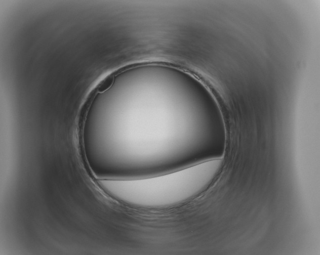 X0000112531460200908171135