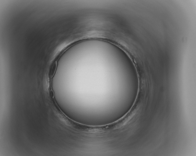 X0000112531461200908171135