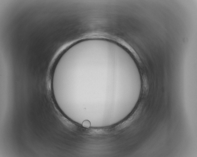 X0000112531462200908171135