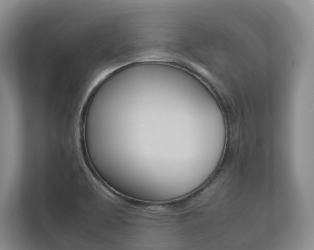 X0000112531463200908171135