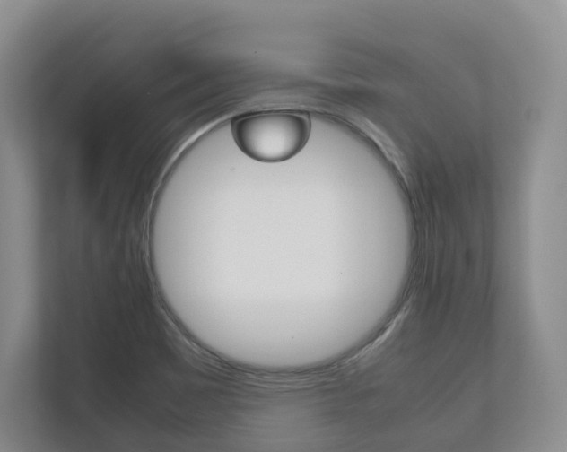 X0000112531465200908171135