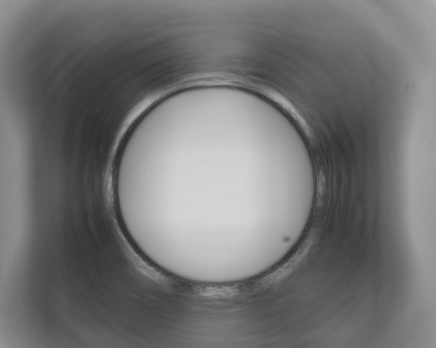 X0000112531466200908171135