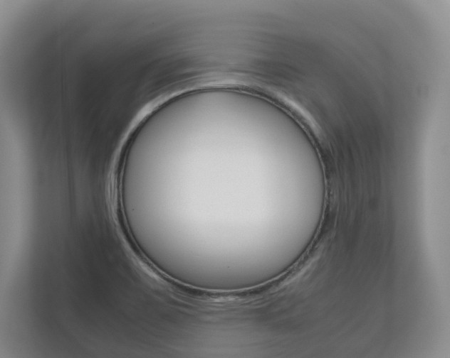 X0000112531467200908171135
