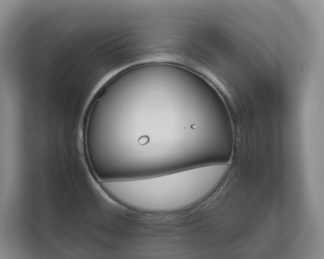 X0000112531468200908171135