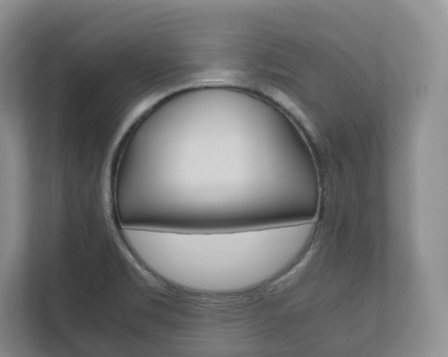 X0000112531469200908171135