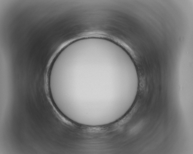 X0000112531470200908171135