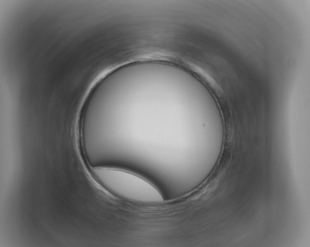 X0000112531471200908171135