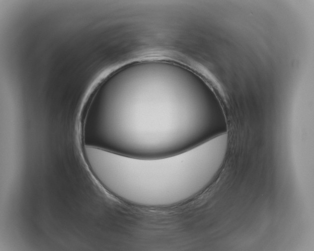 X0000112531472200908171135