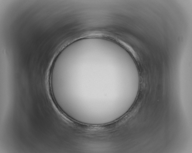 X0000112531475200908171135