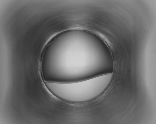 X0000112531476200908171135