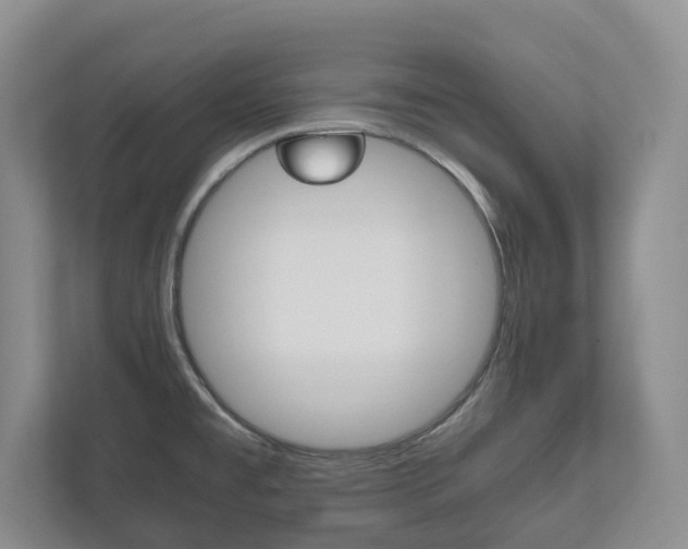 X0000112531477200908171135