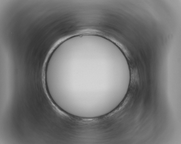 X0000112531478200908171135