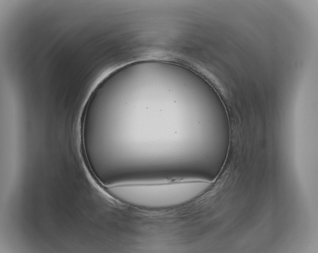 X0000112531479200908171135