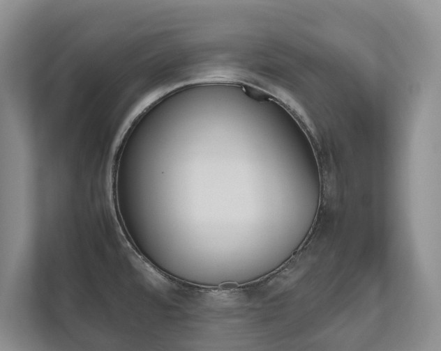 X0000112531480200908171134