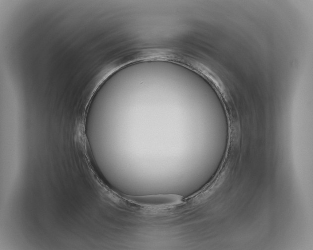 X0000112531481200908171134