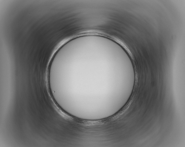 X0000112531482200908171134