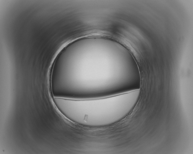 X0000112531483200908171134