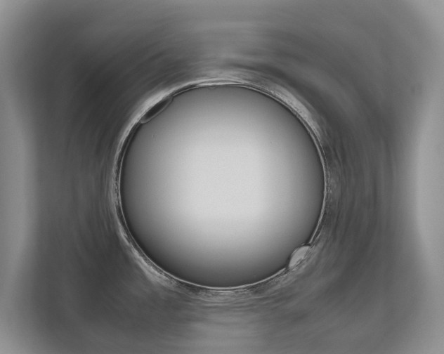 X0000112531485200908171134