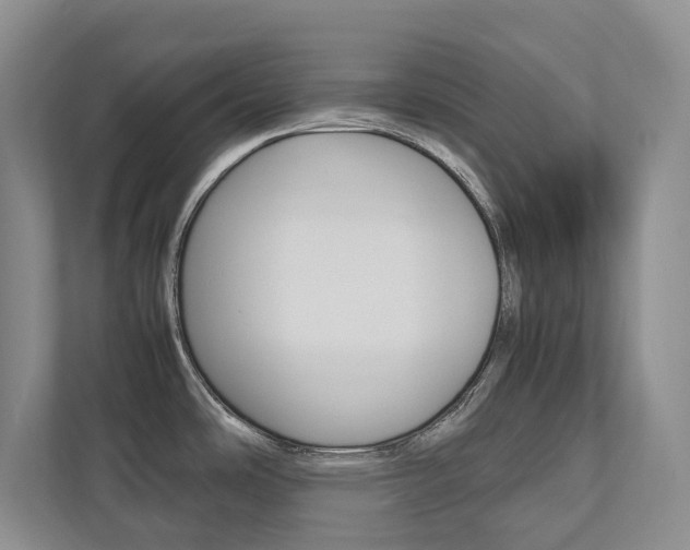 X0000112531486200908171134