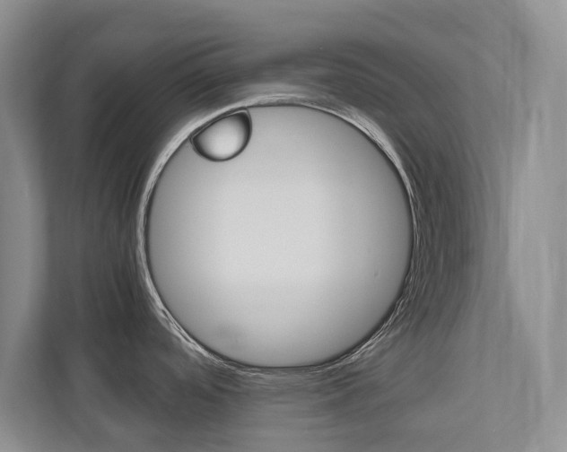 X0000112531488200908171134