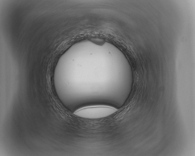 X0000112531489200908171134