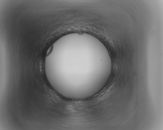X0000112531490200908171134