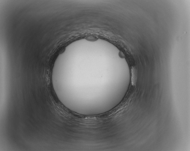 X0000112531491200908171134