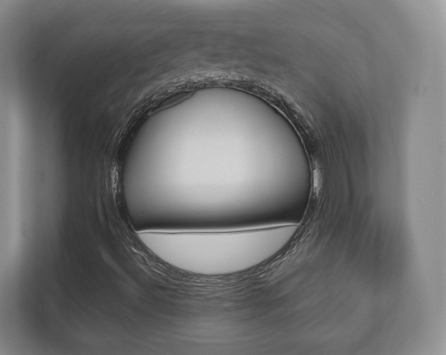 X0000112531492200908171134