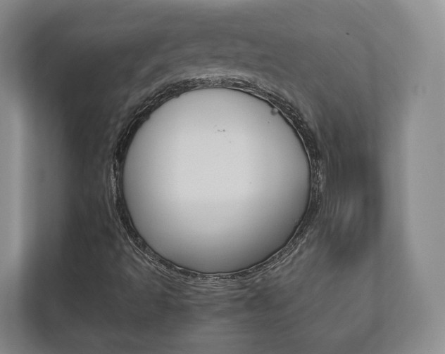 X0000112531493200908171134