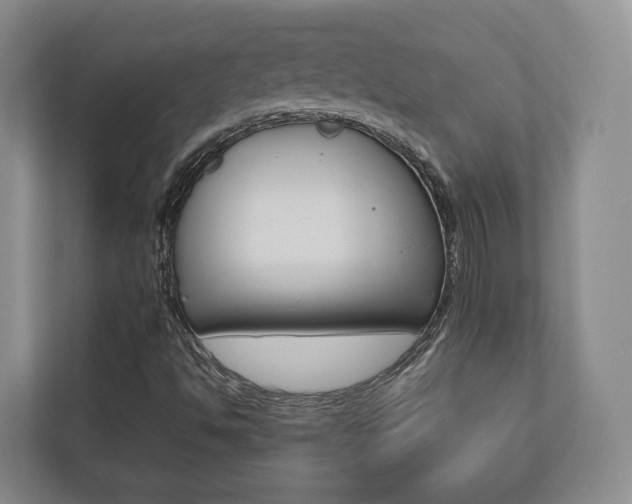 X0000112531494200908171134