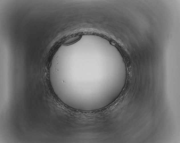 X0000112531495200908171134