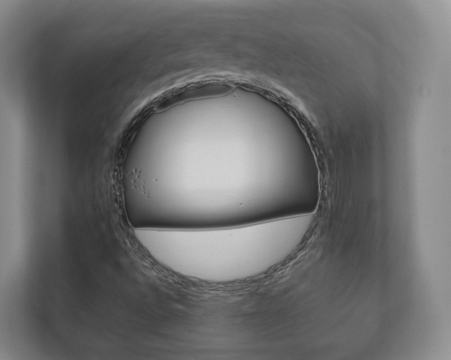 X0000112531496200908171134