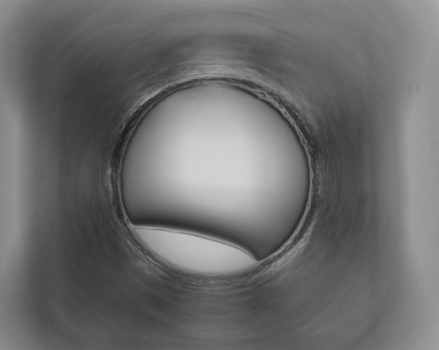 X0000112531497200908171134