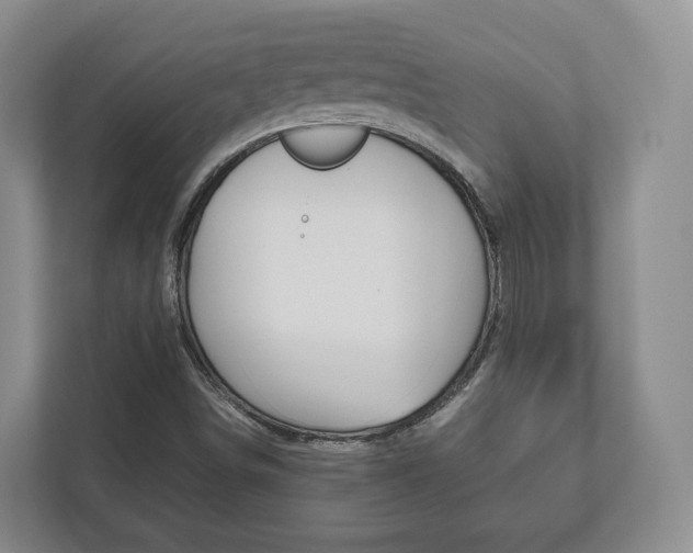 X0000112531498200908171134