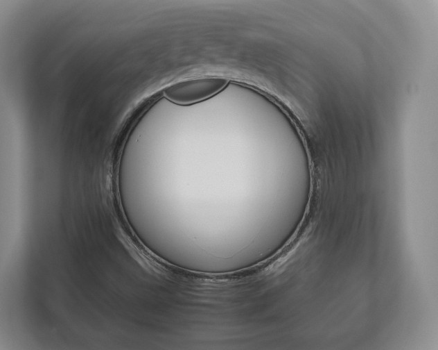 X0000112531499200908171134