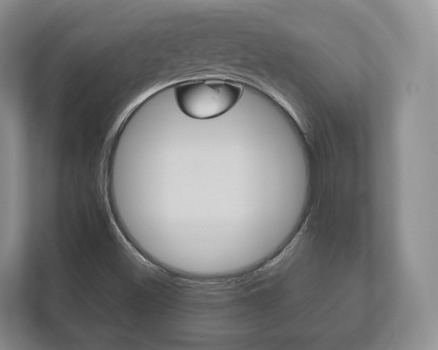 X0000112531500200908171134