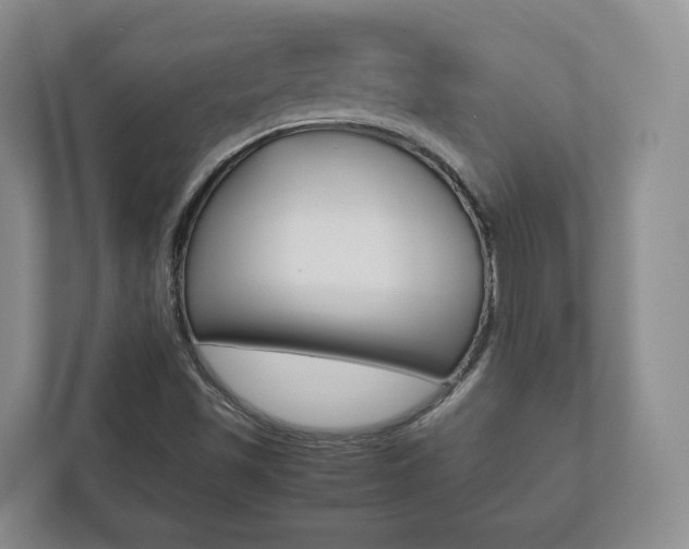 X0000112531501200908171134