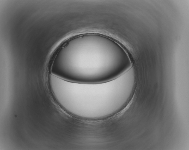 X0000112531502200908171134
