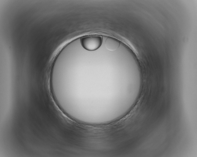 X0000112531504200908171134