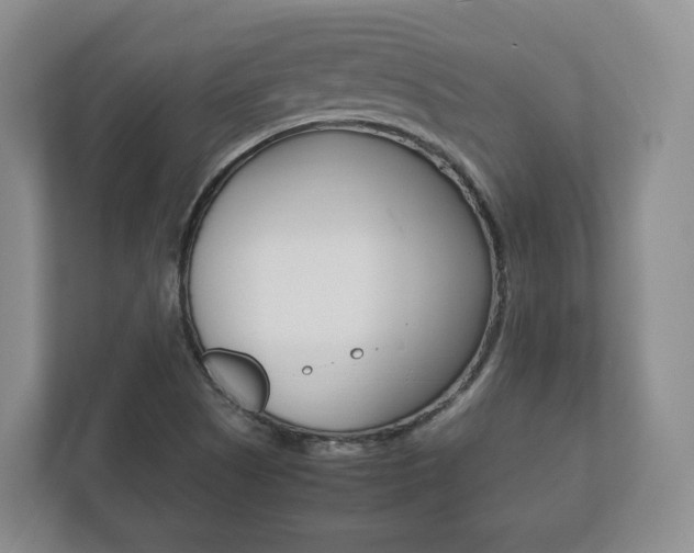 X0000112531505200908171134