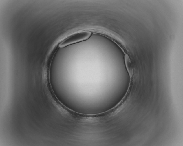 X0000112531506200908171134