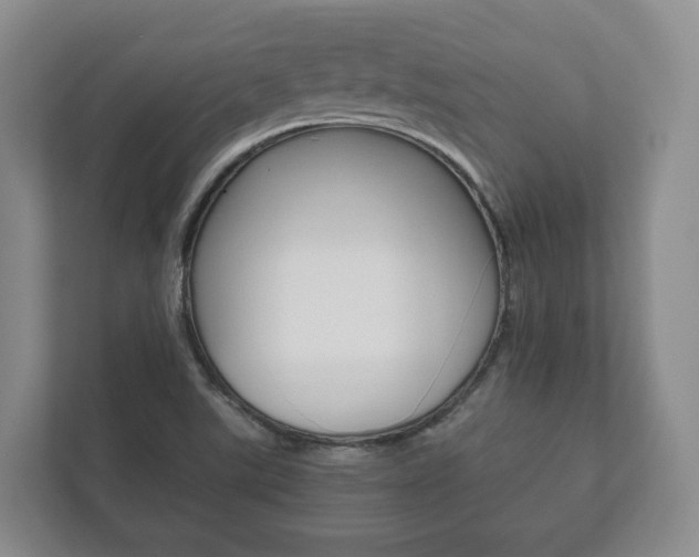 X0000112531507200908171134