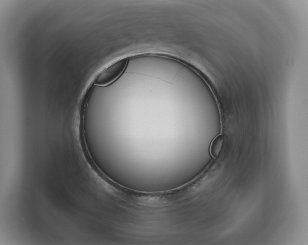 X0000112531508200908171134