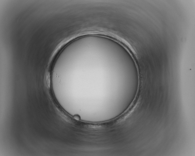 X0000112531509200908171134